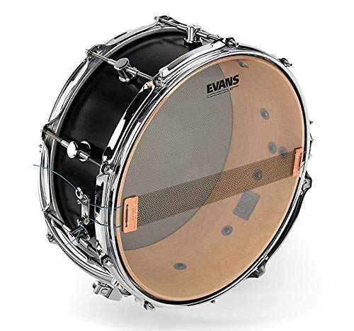 Evans Drumhead (S10H30)